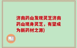 济南药山发现灵芝济南药山现身灵芝，有望成为新药材之源)