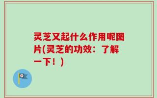 灵芝又起什么作用呢图片(灵芝的功效：了解一下！)