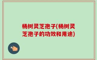杨树灵芝孢子(杨树灵芝孢子的功效和用途)