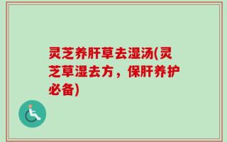 灵芝养肝草去湿汤(灵芝草湿去方，保肝养护必备)