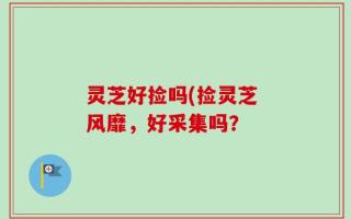 灵芝好捡吗(捡灵芝 风靡，好采集吗？