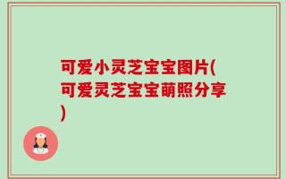 可爱小灵芝宝宝图片(可爱灵芝宝宝萌照分享)