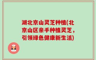 湖北京山灵芝种植(北京山区亲手种植灵芝，引领绿色健康新生活)