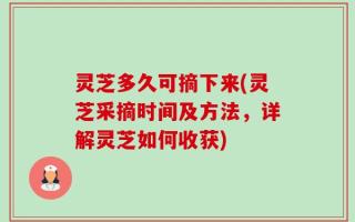 灵芝多久可摘下来(灵芝采摘时间及方法，详解灵芝如何收获)