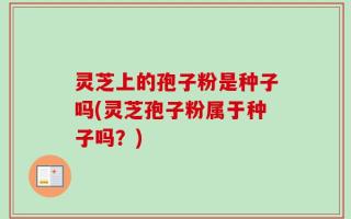 灵芝上的孢子粉是种子吗(灵芝孢子粉属于种子吗？)