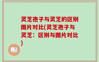 灵芝孢子与灵芝的区别图片对比(灵芝孢子与灵芝：区别与图片对比)