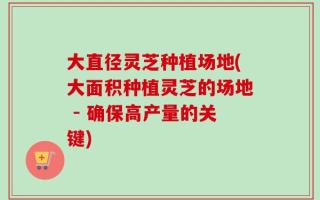 大直径灵芝种植场地(大面积种植灵芝的场地 - 确保高产量的关键)