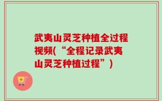 武夷山灵芝种植全过程视频(“全程记录武夷山灵芝种植过程”)