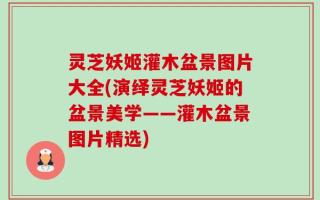 灵芝妖姬灌木盆景图片大全(演绎灵芝妖姬的盆景美学——灌木盆景图片精选)