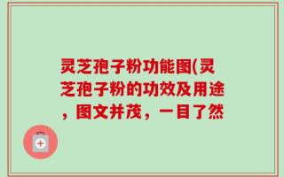 灵芝孢子粉功能图(灵芝孢子粉的功效及用途，图文并茂，一目了然