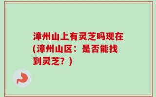 漳州山上有灵芝吗现在(漳州山区：是否能找到灵芝？)