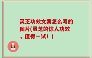 灵芝功效文案怎么写的图片(灵芝的惊人功效，值得一试！)