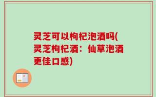 灵芝可以枸杞泡酒吗(灵芝枸杞酒：仙草泡酒更佳口感)