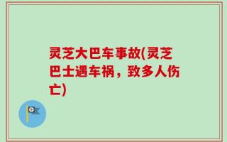 灵芝大巴车事故(灵芝巴士遇车祸，致多人伤亡)