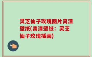 灵芝仙子玫瑰图片高清壁纸(高清壁纸：灵芝仙子玫瑰插画)