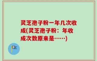 灵芝孢子粉一年几次收成(灵芝孢子粉：年收成次数原来是……)