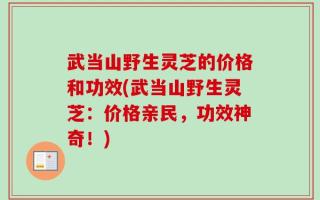 武当山野生灵芝的价格和功效(武当山野生灵芝：价格亲民，功效神奇！)
