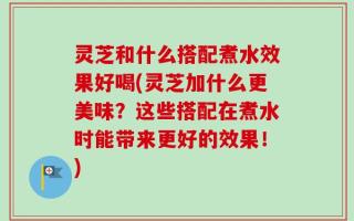 灵芝和什么搭配煮水效果好喝(灵芝加什么更美味？这些搭配在煮水时能带来更好的效果！)