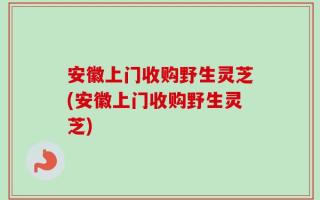 安徽上门收购野生灵芝(安徽上门收购野生灵芝)
