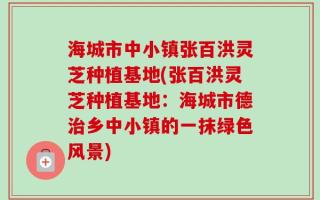 海城市中小镇张百洪灵芝种植基地(张百洪灵芝种植基地：海城市德治乡中小镇的一抹绿色风景)