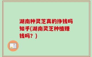 湖南种灵芝真的挣钱吗知乎(湖南灵芝种植赚钱吗？)