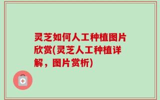 灵芝如何人工种植图片欣赏(灵芝人工种植详解，图片赏析)