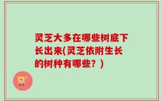 灵芝大多在哪些树底下长出来(灵芝依附生长的树种有哪些？)
