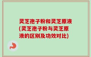 灵芝孢子粉和灵芝原液(灵芝孢子粉与灵芝原液的区别及功效对比)