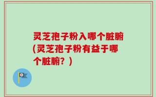 灵芝孢子粉入哪个脏腑(灵芝孢子粉有益于哪个脏腑？)