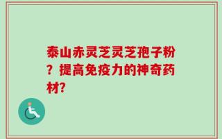 泰山赤灵芝灵芝孢子粉？提高免疫力的神奇药材？