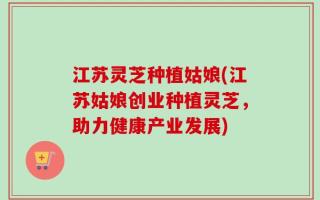 江苏灵芝种植姑娘(江苏姑娘创业种植灵芝，助力健康产业发展)