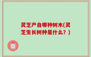 灵芝产自哪种树木(灵芝生长树种是什么？)