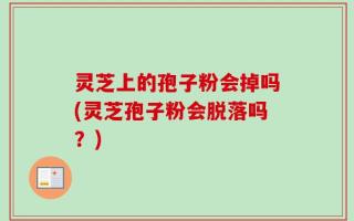 灵芝上的孢子粉会掉吗(灵芝孢子粉会脱落吗？)