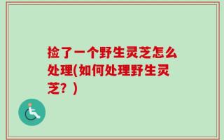捡了一个野生灵芝怎么处理(如何处理野生灵芝？)