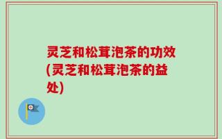 灵芝和松茸泡茶的功效(灵芝和松茸泡茶的益处)
