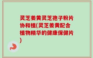 灵芝姜黄灵芝孢子粉片协和植(灵芝姜黄配合植物精华的健康保健片)