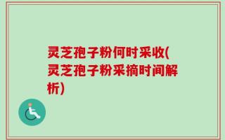 灵芝孢子粉何时采收(灵芝孢子粉采摘时间解析)