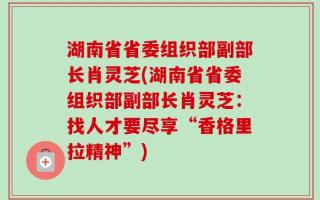 湖南省省委组织部副部长肖灵芝(湖南省省委组织部副部长肖灵芝：找人才要尽享“香格里拉精神”)