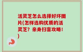 活灵芝怎么选择好坏图片(怎样选购优质的活灵芝？亲身扫盲攻略！)