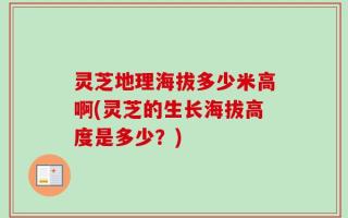 灵芝地理海拔多少米高啊(灵芝的生长海拔高度是多少？)