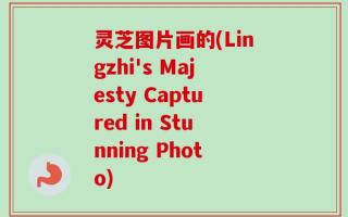 灵芝图片画的(Lingzhi's Majesty Captured in Stunning Photo)