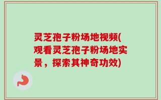 灵芝孢子粉场地视频(观看灵芝孢子粉场地实景，探索其神奇功效)