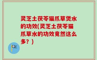 灵芝土茯苓猫爪草煲水的功效(灵芝土茯苓猫爪草水的功效竟然这么多？)