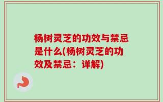 杨树灵芝的功效与禁忌是什么(杨树灵芝的功效及禁忌：详解)