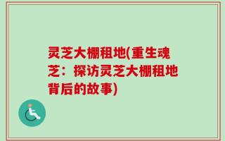 灵芝大棚租地(重生魂芝：探访灵芝大棚租地背后的故事)