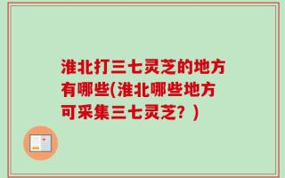 淮北打三七灵芝的地方有哪些(淮北哪些地方可采集三七灵芝？)