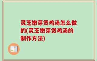 灵芝嫩芽煲鸡汤怎么做的(灵芝嫩芽煲鸡汤的制作方法)