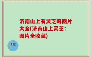 济南山上有灵芝嘛图片大全(济南山上灵芝：图片全收藏)