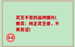 灵芝不苦的品种图片(嫩灵：纯正灵芝香，不再苦涩)