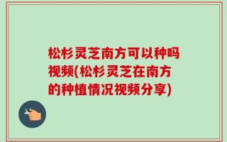 松杉灵芝南方可以种吗视频(松杉灵芝在南方的种植情况视频分享)
